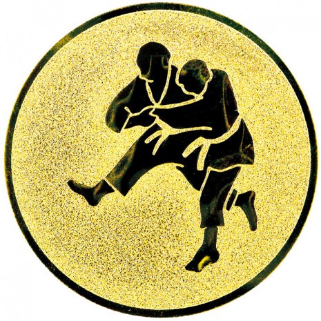 Judo Emblem gold 50 mm
