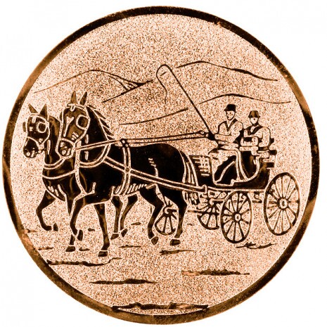 Fahrer (Fahren) Emblem bronze 50 mm