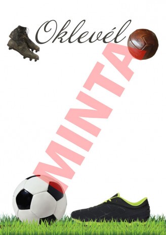 Unsere Fußballurkunde A4