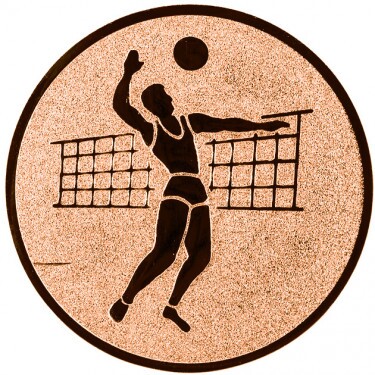 Volleyball (Männer) Emblem bronze 25 mm