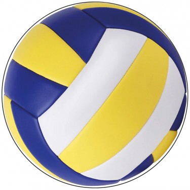 Volleyball Emblem 50 mm