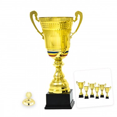 Rumänischer Nationalpokal Felicia