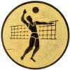 Volleyball (Männer) Emblem bronze 25 mm
