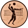 Volleyball (Männer) Emblem bronze 25 mm