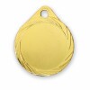 Goldmedaille 431